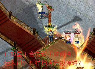 1.80�����ϻ�������ο������ţ�����ɨ�������ϰ���