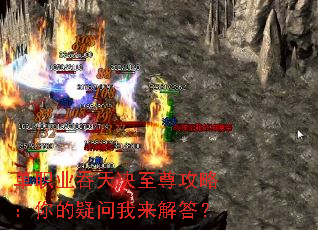 ��ְҵ����������ԣ���������������