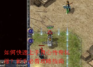 ��ο����������Ĵ���˽�������ֱؿ�����ָ��