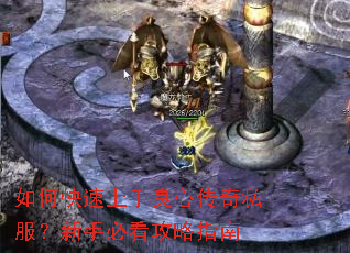 ��ο����������Ĵ���˽�������ֱؿ�����ָ��