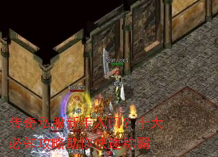 ����˽���������ţ�ʮ���֪����������ٳư�