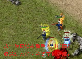 ���㴫��˽����������ָ�ϣ����������ν�𳣼����ѣ�