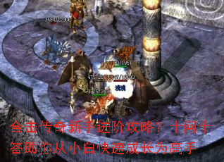 �ϻ��������ֽ��׹��ԣ�ʮ��ʮ�������С�׿��ٳɳ�Ϊ����