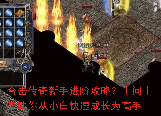 �ϻ��������ֽ��׹��ԣ�ʮ��ʮ�������С�׿��ٳɳ�Ϊ����