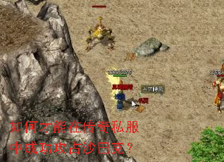 ��β����ڴ���˽���гɹ���ռɳ�Ϳˣ�