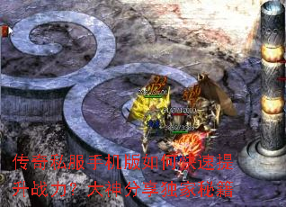 ����˽���ֻ�����ο�������ս����������������ؼ�