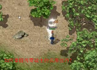 ������մ���սʿ��ʵ�ü��ɣ�