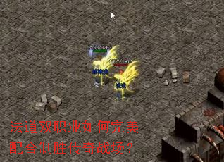 ����˫ְҵ������������ʤ����ս����