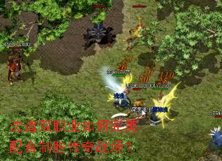 ����˫ְҵ������������ʤ����ս����