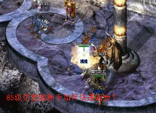 85���¹ٷ�������ο����𲽣�