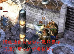 �ļ���Ѫ���渴��˽����ӽ�ԭ֭ԭζ�ľ������飿