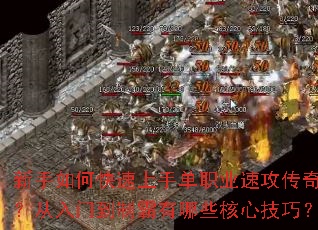 ������ο������ֵ�ְҵ�ٹ����棿�����ŵ��ư�����Щ���ļ��ɣ�