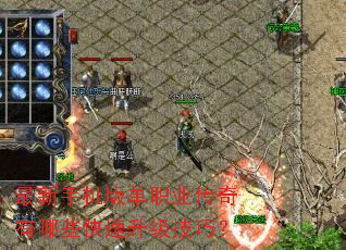 �����ֻ��浥ְҵ��������Щ�����������ɣ�