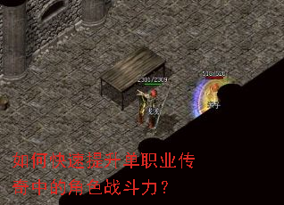 ��ο���������ְҵ�����еĽ�ɫս������