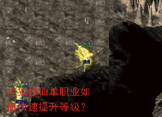 ������ɵ�ְҵ��ο��������ȼ���