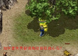 ���������ؾ���Ч��ȡ����ʯ��