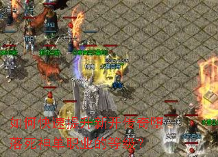 ��ο��������¿������������ְҵ�ĵȼ���