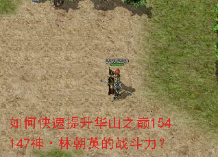 如何快速提升华山之巅154147神·林朝英的战斗力? 如何快速提升华山之巅154147神·林朝英的战斗力?