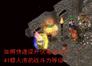 ��ο�����������¼141141�������ս�����ȼ���