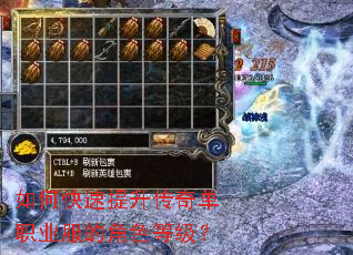 如何快速提升传奇单职业服的角色等级? 如何快速提升传奇单职业服的角色等级?