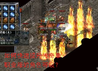 ��ο����������浥ְҵ���Ľ�ɫ�ȼ���