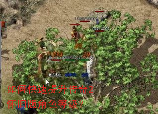 ��ο�����������2���ɰ��ɫ�ȼ���