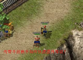 ��������������ο��������ȼ���