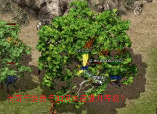 ��������������ο��������ȼ���