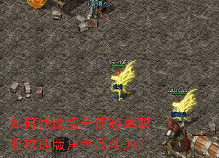 ��ο����������ε�ְҵ���ٰ��ɫս������