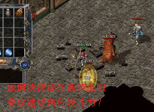 ��ο����������ε�ְҵ���ٰ��ɫս������