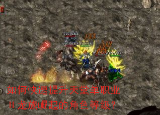 如何快速提升天堂单职业Ⅱ龙族崛起的角色等级? 如何快速提升天堂单职业Ⅱ龙族崛起的角色等级?