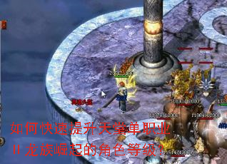 如何快速提升天堂单职业Ⅱ龙族崛起的角色等级? 如何快速提升天堂单职业Ⅱ龙族崛起的角色等级?