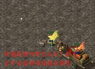 网通新服传奇怎么玩?新手老手必备硬核秘籍全解答 网通新服传奇怎么玩?新手老手必备硬核秘籍全解答