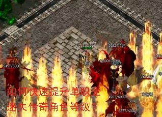 ��ο���������ְҵ��ʧ�����ɫ�ȼ���