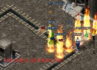 ��ο��ٴ�1������5000����