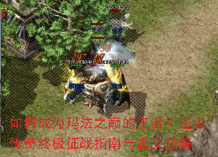 ��γ�Ϊ�귨֮�۵����ߣ�������ռ���սָ��������ƽ�