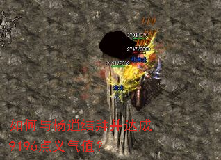 ��������н�ݲ����9196������ֵ��