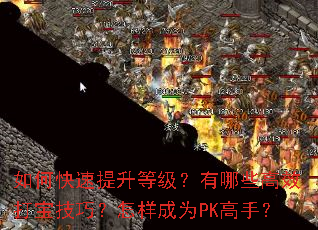 ��ο��������ȼ�������Щ��Ч�򱦼��ɣ�������ΪPK���֣�