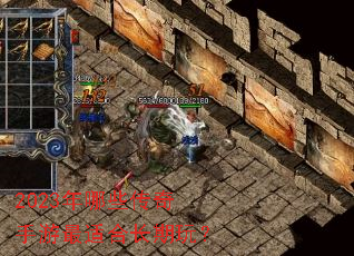 2023����Щ�����������ʺϳ����棿