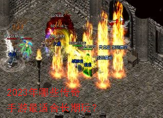 2023����Щ�����������ʺϳ����棿