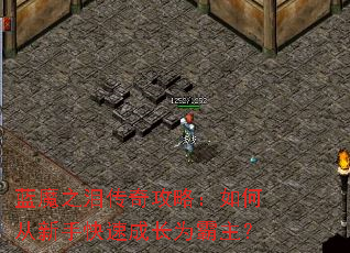 蓝魔之泪传奇攻略:如何从新手快速成长为霸主? 蓝魔之泪传奇攻略:如何从新手快速成长为霸主?