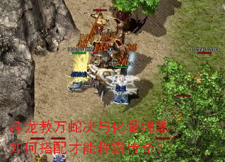 ���������߾��뻯��������δ�����ܳưԴ��棿