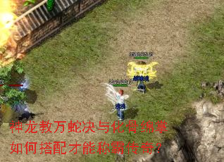 ���������߾��뻯��������δ�����ܳưԴ��棿