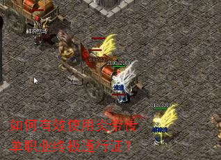 �����Чʹ���׵۴���ְҵ�ռ�ͨ��֤��