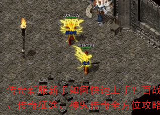 �����·�������ο������֣���սɳ�ǡ�������;���������ȫ��λ����ָ��