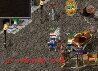 ��ο���������������ȼ���