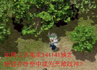 ����÷���¼141141��֮����ڴ����г�Ϊ�޵�ս��