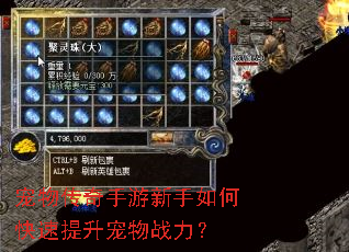 宠物传奇手游新手如何快速提升宠物战力? 宠物传奇手游新手如何快速提升宠物战力?