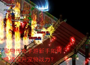 宠物传奇手游新手如何快速提升宠物战力? 宠物传奇手游新手如何快速提升宠物战力?