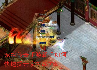 ���ﴫ������������ο�����������ս����